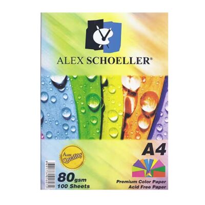 Alex Schoeller A4 Renkli Kağıt 10 Renk 100lü Karışık - 1