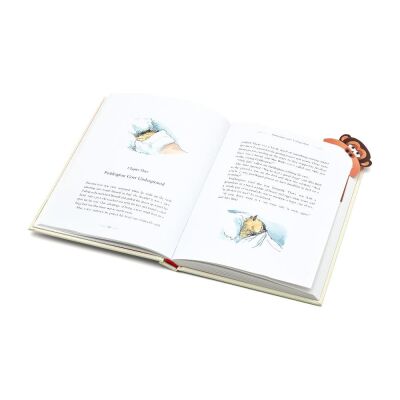 Bigmouth Bookmark Monkey - Kocaağız Kitap Ayracı Maymun - 5