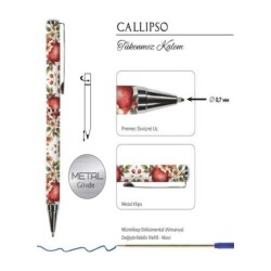 Callipso Tükenmez Kalem Kutulu C-13 - 2