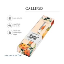 Callipso Tükenmez Kalem Kutulu C-4 - Victorias Journal