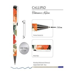 Callipso Tükenmez Kalem Kutulu C-4 - 2