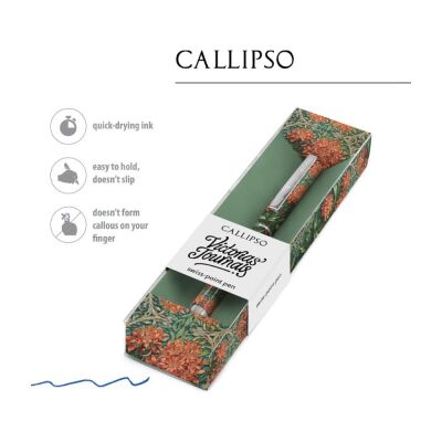 Callipso Tükenmez Kalem Kutulu C-8 - 1