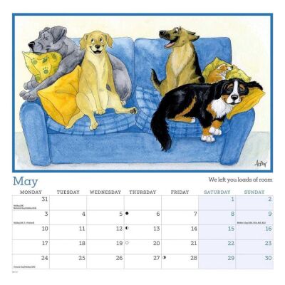 Carousel Calendars Alison's Animals 2027 Spiralli Duvar Takvimi - 4