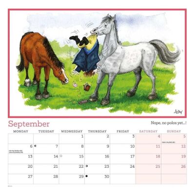 Carousel Calendars Alison's Animals 2027 Spiralli Duvar Takvimi - 5