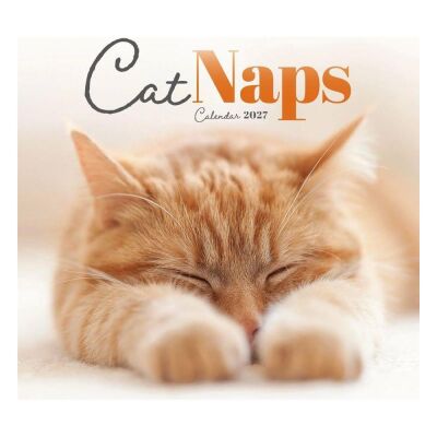 Carousel Calendars Cat Naps Kediler 2027 Mini Duvar Takvimi - 1