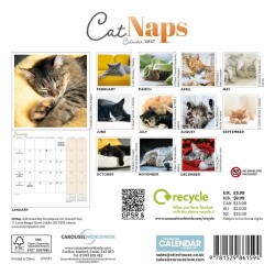 Carousel Calendars Cat Naps Kediler 2027 Mini Duvar Takvimi - 3