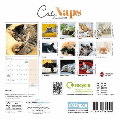Carousel Calendars Cat Naps Kediler 2027 Mini Duvar Takvimi - 3