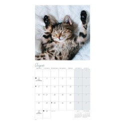 Carousel Calendars Cat Naps Kediler 2027 Mini Duvar Takvimi - 4