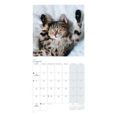Carousel Calendars Cat Naps Kediler 2027 Mini Duvar Takvimi - 4