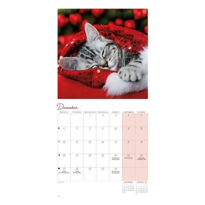 Carousel Calendars Cat Naps Kediler 2027 Mini Duvar Takvimi - 5