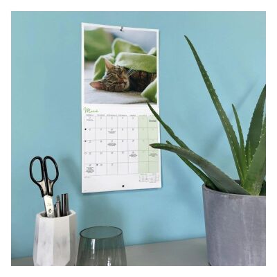 Carousel Calendars Cat Naps Kediler 2027 Mini Duvar Takvimi - 6