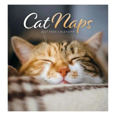 Carousel Calendars Cat Naps Kediler 2027 Spiralli Masa Takvimi - 1