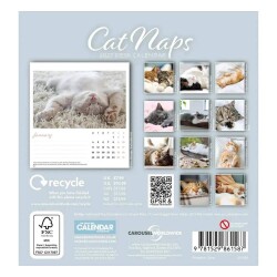 Carousel Calendars Cat Naps Kediler 2027 Spiralli Masa Takvimi - 2