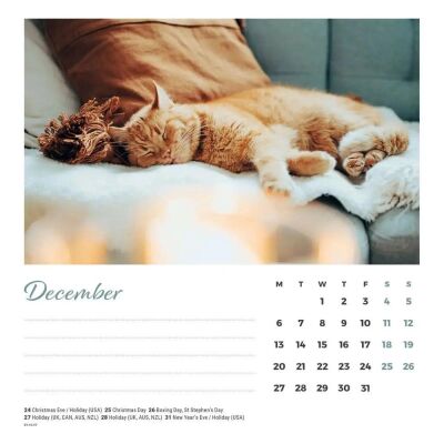 Carousel Calendars Cat Naps Kediler 2027 Spiralli Masa Takvimi - 4