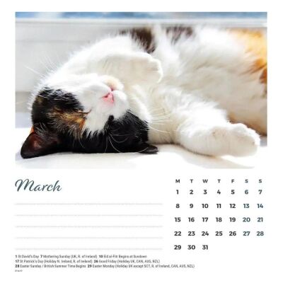 Carousel Calendars Cat Naps Kediler 2027 Spiralli Masa Takvimi - 6