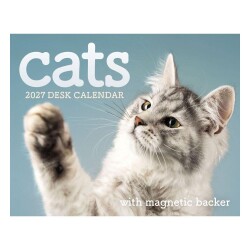 Carousel Calendars Cats Kediler 2027 Mini Günlük Masa Takvimi - Carousel Calendars