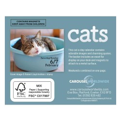 Carousel Calendars Cats Kediler 2027 Mini Günlük Masa Takvimi - 2