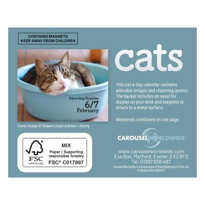 Carousel Calendars Cats Kediler 2027 Mini Günlük Masa Takvimi - 2