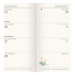 Carousel Calendars Edith Holden Country Diary 2027 Slim Haftalık Ajanda - 2