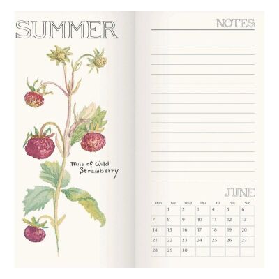 Carousel Calendars Edith Holden Country Diary 2027 Slim Haftalık Ajanda - 4