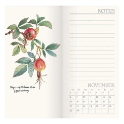Carousel Calendars Edith Holden Country Diary 2027 Slim Haftalık Ajanda - 6