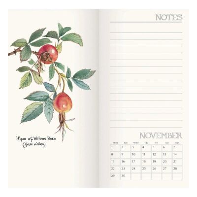 Carousel Calendars Edith Holden Country Diary 2027 Slim Haftalık Ajanda - 6