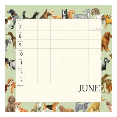 Carousel Calendars Emma Bridgewater Dates, Dinners & Dog Walks 2027 Haftalık Aile Planlayıcısı - 4