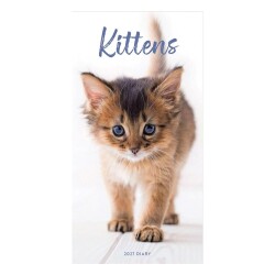 Carousel Calendars Kittens Yavru Kediler 2027 Slim Haftalık Ajanda - Carousel Calendars