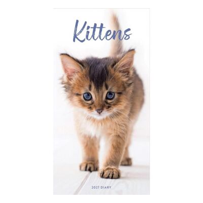 Carousel Calendars Kittens Yavru Kediler 2027 Slim Haftalık Ajanda - 1