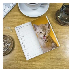 Carousel Calendars Kittens Yavru Kediler 2027 Slim Haftalık Ajanda - 2