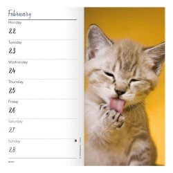 Carousel Calendars Kittens Yavru Kediler 2027 Slim Haftalık Ajanda - 5