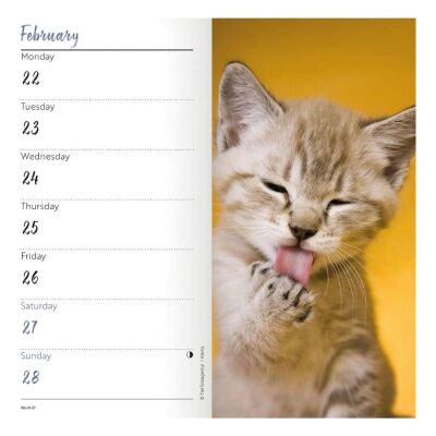 Carousel Calendars Kittens Yavru Kediler 2027 Slim Haftalık Ajanda - 5