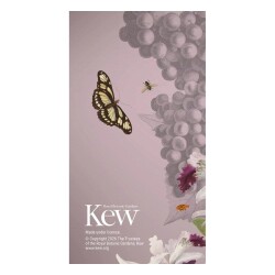 Carousel Calendars Royal Botanic Gardens Kew 2027 Slim Haftalık Ajanda - 4