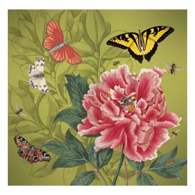 Carousel Calendars Royal Botanic Gardens Kew 2027 Slim Haftalık Ajanda - 5