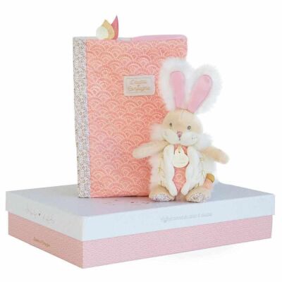 Doudou Kitap Kılıfı ve Mini Tavşan Pembe - 1