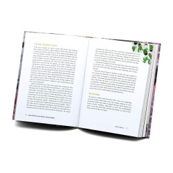 Easymark Cactus - Şeffaf Kenar Kitap Ayracı Kaktüs - 3
