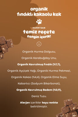 Humm Organik Glutensiz Vegan Kakaolu ve Fındıklı Kek - 2