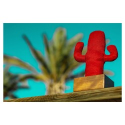 Kayigo Cactus Lavanta Dolgulu Notluk Kırmızı-Ahşap - 2