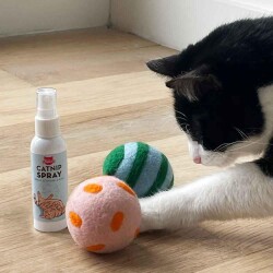 Kikkerland Pet Kediler İçin Kiko Sprey & Play Oyun Seti - 2