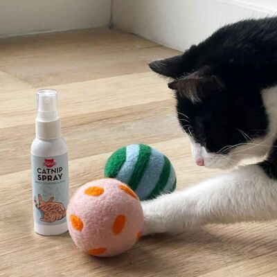 Kikkerland Pet Kediler İçin Kiko Sprey & Play Oyun Seti - 2