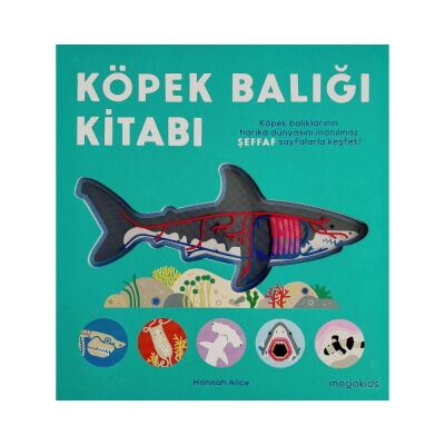 Köpek Balığı Kitabı Hannah Alice - 1