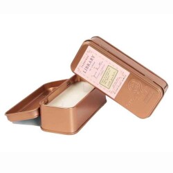 Library Two Wick Travel Tin Jane Austin İki Fitilli Metal Kutuda Mum 56 Gr - Paddywax