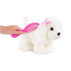 Pucci Pups Maltese ve Tarak - 6
