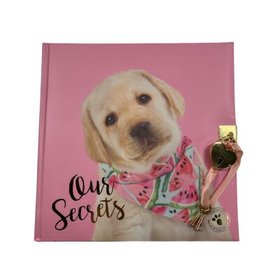 Studio Pets PT-7790 Kilitli Hatıra Defteri - 1
