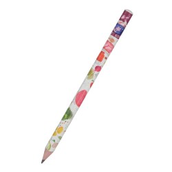 Visconti Kurşun Kalem Jumbo Hapy Graphix 4B Sofra - Bruno Visconti